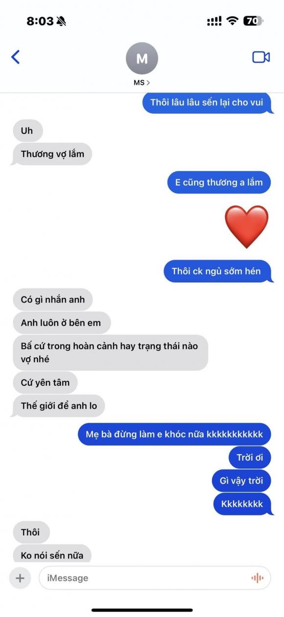 Hari Won, Trấn Thành, sao Việt 