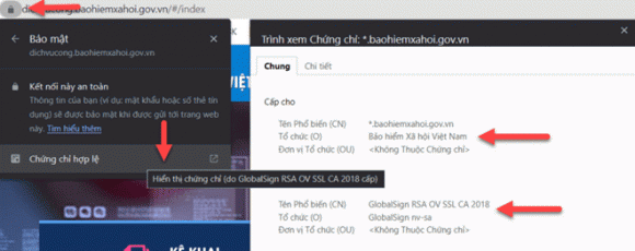 Bảo hiểm xã hội Việt Nam, cảnh báo khẩn tử Bảo hiểm xã hội Việt Nam