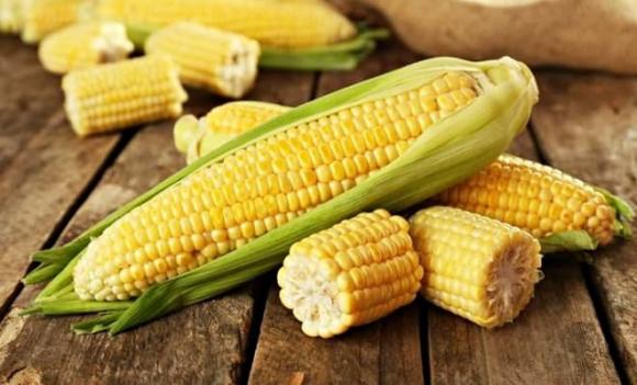 ngô, thực phẩm kỵ với ngô, ai không nên ăn ngô