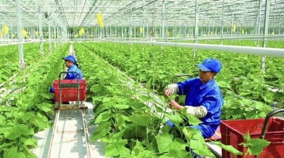 ngành học, ngành điểm chuẩn 16, kiến thức