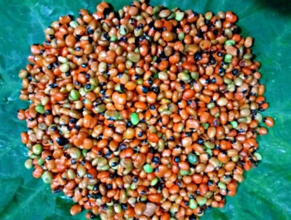 Loại hạt đắt đỏ bậc nhất thế giới, sâm Ngọc Linh