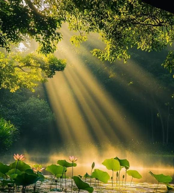 Trắc nghiệm tâm lý