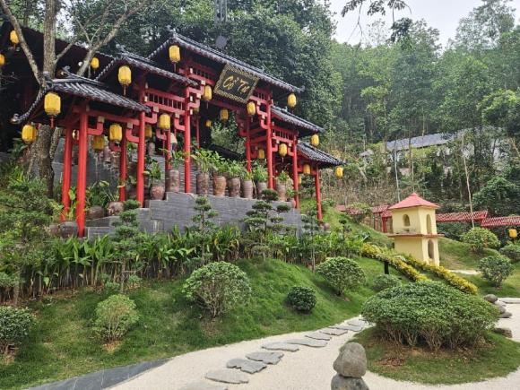 Chùa cây thị, chùa cổ, chùa nổi tiếng