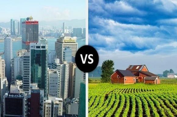  ở lại thành phố hay về quê , tốt nghiệp đại học