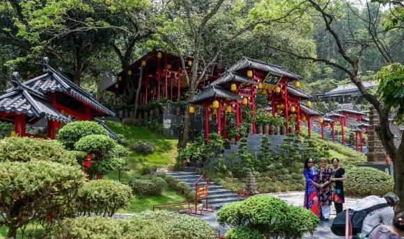 Chùa cây thị, chùa cổ, chùa nổi tiếng