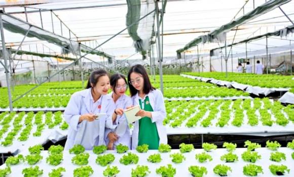 ngành học, ngành không lo thất nghiệp, ngành lương cao, ngành điểm chuẩn từ 16 điểm, Ngành Kinh doanh Nông nghiệp