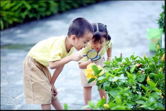 tuổi thơ, dạy trẻ thành công
