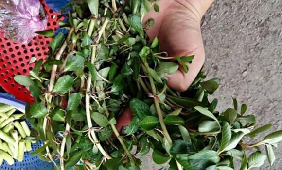 rau dừa nước, đặc sản miền Tây