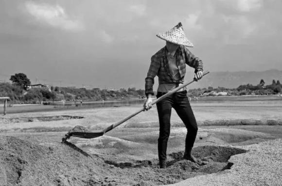 rùa khổng lồ sông Hoàng Hà, rùa khổng lồ