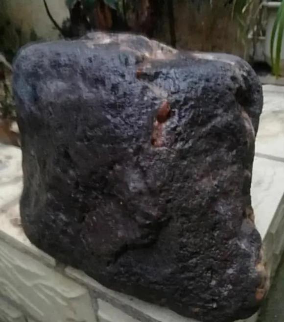 rùa khổng lồ sông Hoàng Hà, rùa khổng lồ