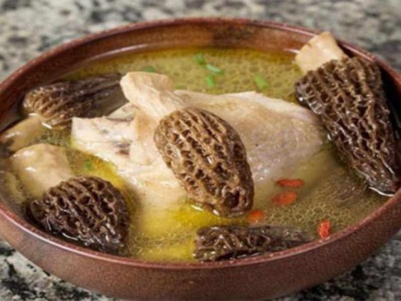 nấm bụng dê,  loại nấm được săn lùng khắp thế giới, loại nấm đắt hơn thịt bò Wagyu