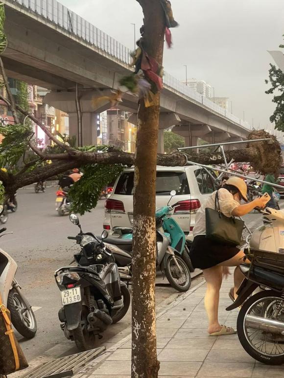 Hà Nội, mưa lớn ở Hà Nội, kiến thưc