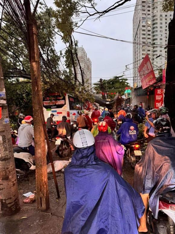 Hà Nội, mưa lớn ở Hà Nội, kiến thưc