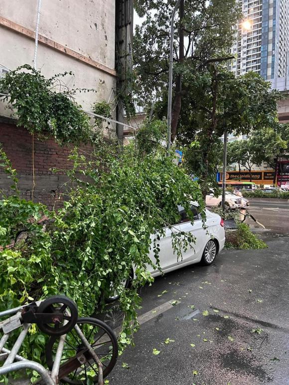 Hà Nội, mưa lớn ở Hà Nội, kiến thưc