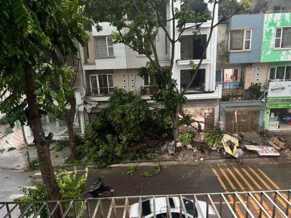 Hà Nội, mưa lớn ở Hà Nội, kiến thưc