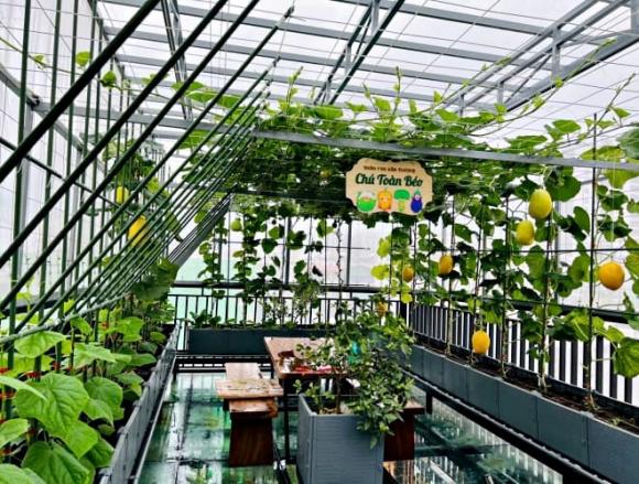 rau sạch, làm thiện nguyện