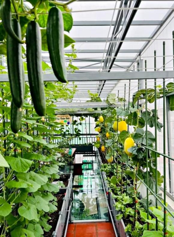 rau sạch, làm thiện nguyện