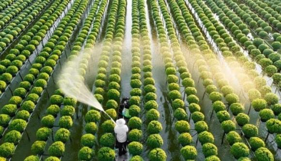 Ngành học khát nhân lực, Ngành Nông nghiệp Công nghệ