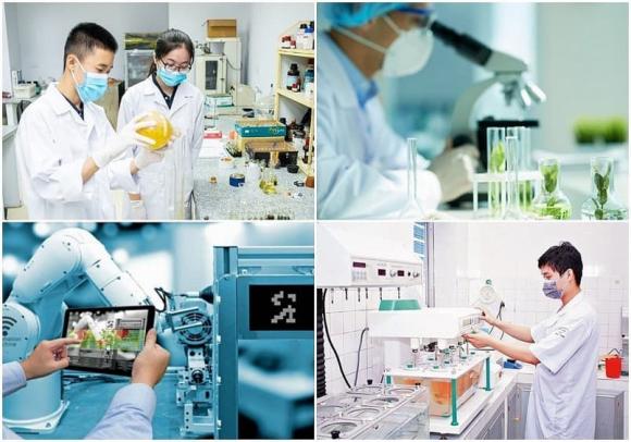 Ngành học được hỗ trợ, lĩnh vực khoa học cơ bản, kỹ thuật then chốt và công nghệ chiến lược