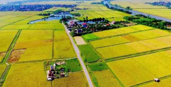 Nhà nước đền bù đất, giá đền bù đất, luật đất đai 2024