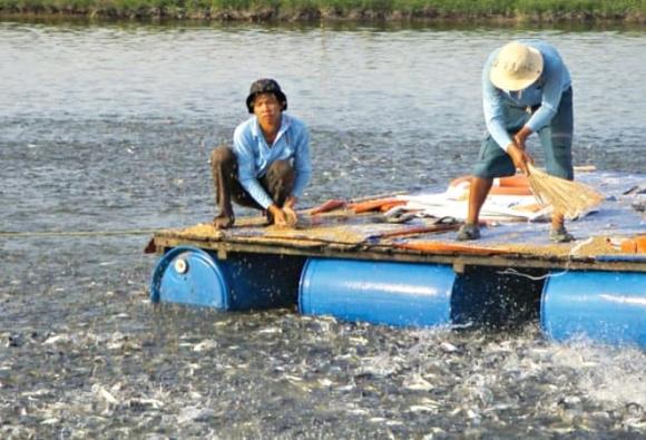  thu hồi đất, bồi thường, trường hợp thu hồi đất