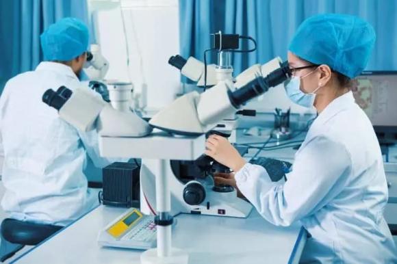 cá mòi, sức khoẻ người già