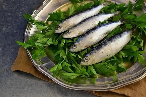cá mòi, sức khoẻ người già