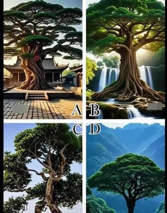 Trắc nghiệm tâm lý