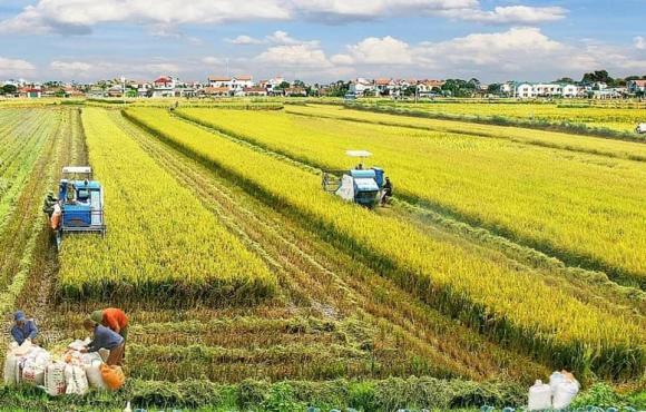 Luật đất đai, đối tượng được miễn thuế sử dụng đất nông nghiệp