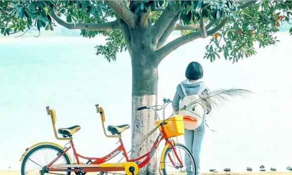 dạy con, cách dạy con, cách nuôi dạy con thành tài