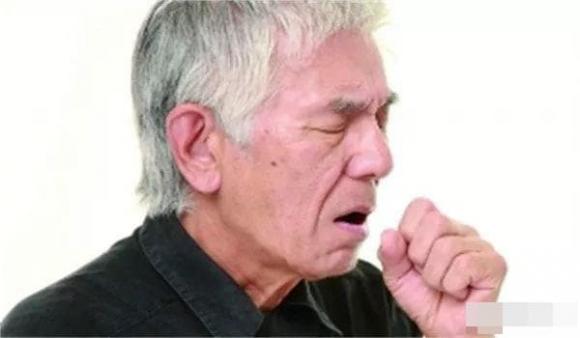 tía tô, mật ong