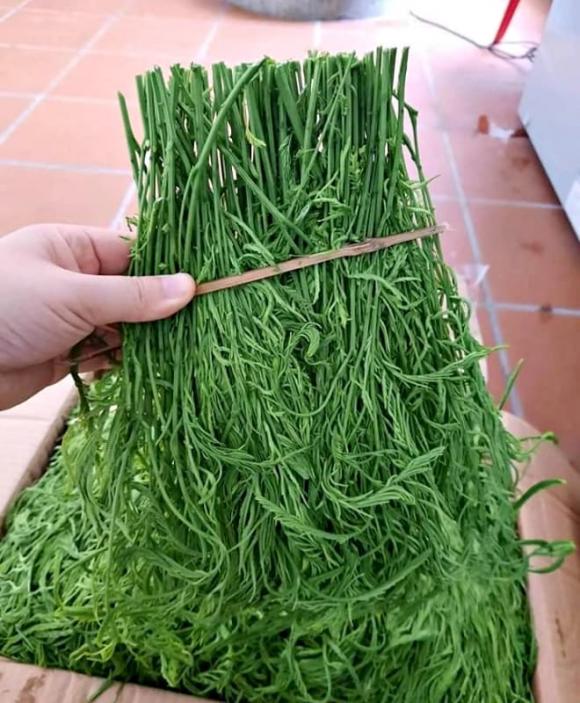 rau thối, đặc sản Tây Bắc