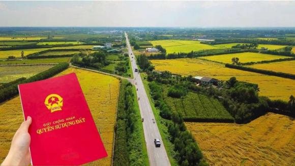 Luật đất đai, mức phạt hành vi tự ý chuyển đất trồng lúa sang đất ở tại Hà Nội