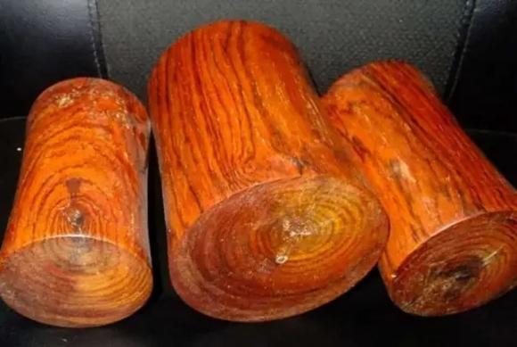 gỗ quý, gỗ quý 50 tỷ, kiến thức