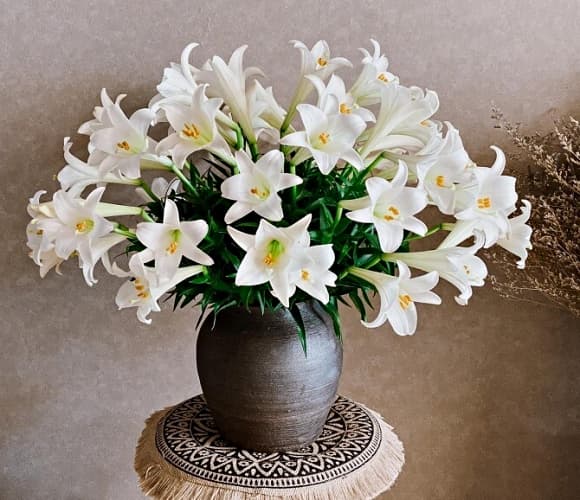 cúng mùng 1, mùng 1 tháng 6 nhuận, hoa dâng lên bàn thờ