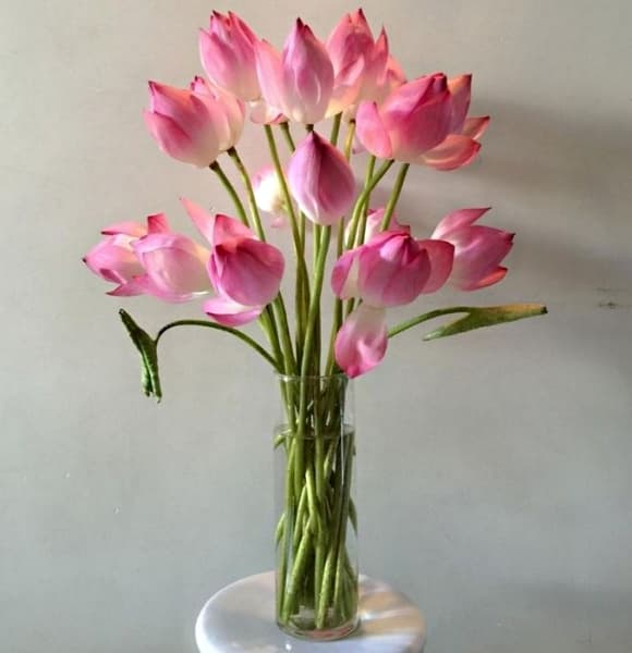 cúng mùng 1, mùng 1 tháng 6 nhuận, hoa dâng lên bàn thờ