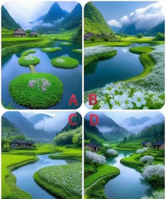 Trắc nghiệm tâm lý