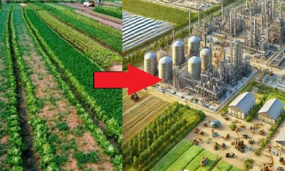 Chuyển đất nông nghiệp, đất phi nông nghiệp, đất trồng lúa