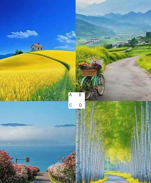 Trắc nghiệm tâm lý