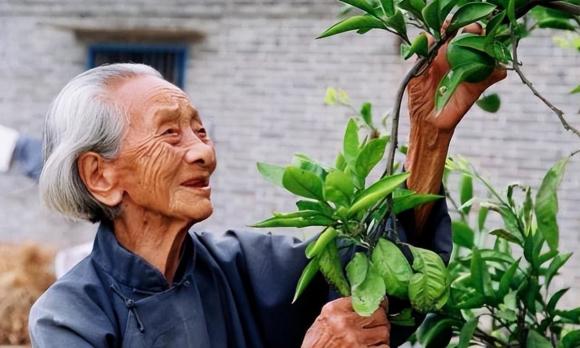 tuổi thọ, chỉ số sức khỏe, sức khỏe