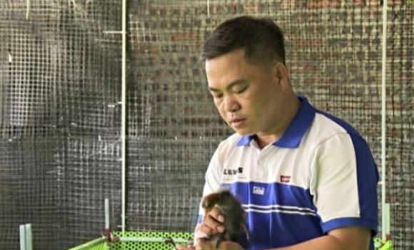 loài chim quý hiếm, nuôi chim 'tiến vua', chim sâm cầm 
