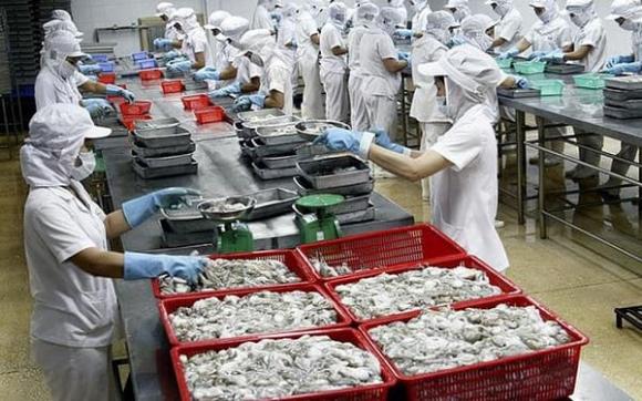xuất khẩu bạch tuộc, xuất khẩu thủy sản