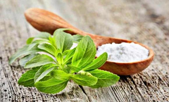 Cỏ ngọt, Loại lá ngọt hơn đường