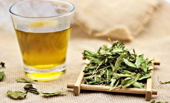 Cỏ ngọt, Loại lá ngọt hơn đường