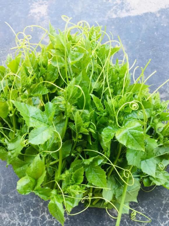 rau lạc tiên, rau bí, kiến thức