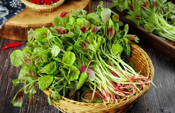 thực phẩm phát triển chiều cao, thực phẩm phát triển chiều cao cho trẻ
