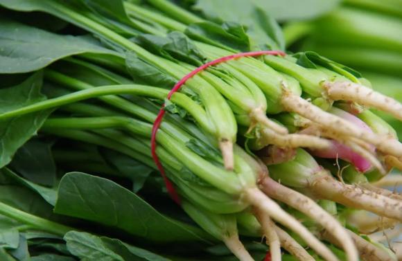 thực phẩm phát triển chiều cao, thực phẩm phát triển chiều cao cho trẻ