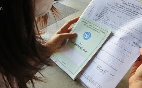 hộ kinh doanh, chủ hộ kinh doanh, hộ kinh doanh đóng bảo hiểm
