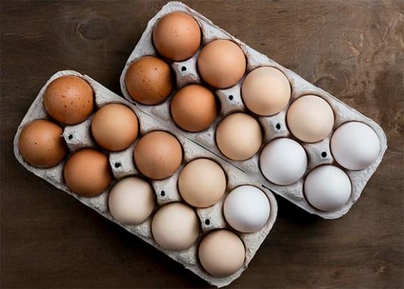 Hạn sử dụng của trứng, kiến thức