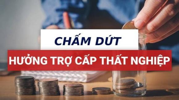 chấm dứt hưởng trợ cấp thất nghiệp, bảo hiểm thất nghiệp, bhxh